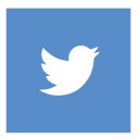 twitter icon